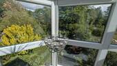 Blick in den Garten - 