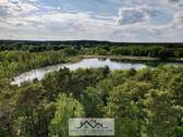 Wald und See Umgebung - 