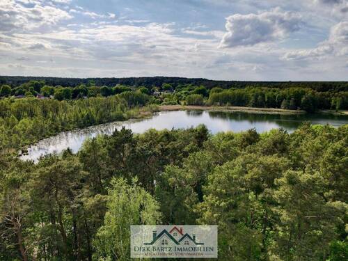 Wald und See Umgebung - 