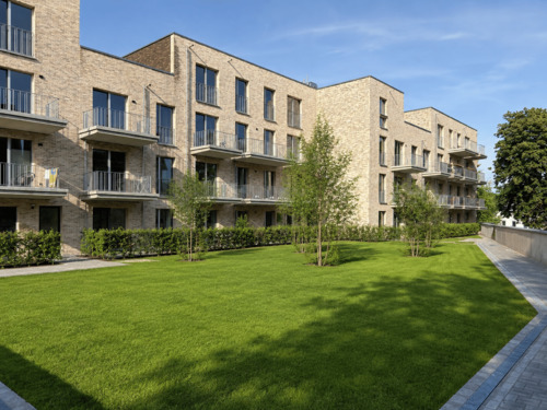 Südansicht - Erstbezug: Helle 2-Zimmer-Neubauwohnung mit Südbalkon und Blick ins Grüne