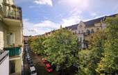 Ausblick in die mit Bäumen gesäumte Straße - 