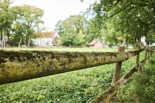 Impression Quelkhorn - 