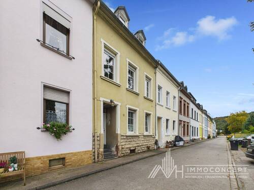 Seitenansicht links - 7 Zimmer Reihenmittelhaus zum Kaufen in Trier