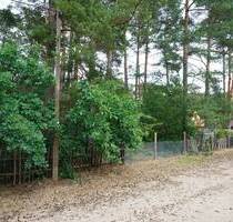Ein Baugrundstück in der Waldgemeinde Borkwalde mit einem Kauf- oder Erbbaurechtsvertrag