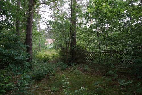 Auf dem vorderen Flurstück (5).JPG - 