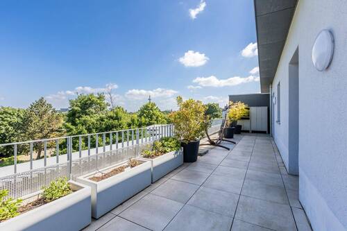 Terrasse - 