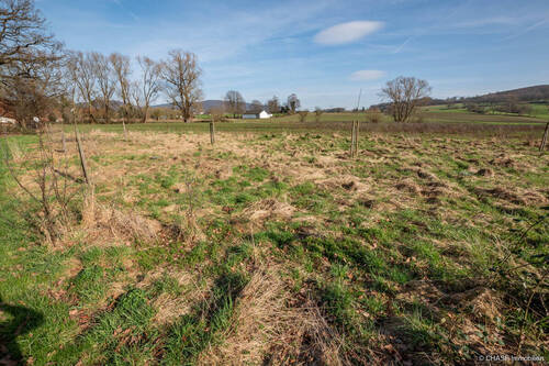 Gartengrundstück, Streuobstwiese - Bodenansicht - Grundstück in Hessisch Oldendorf / Höfingen zum Kaufen