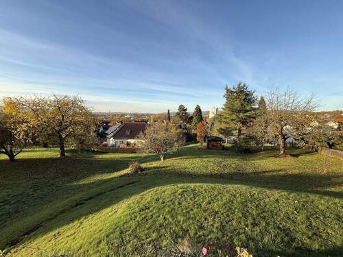 Blick in den Garten - 