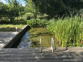 Badeteich - 