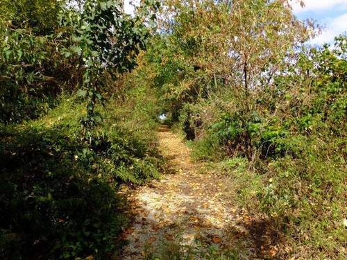 ehemalige Rennbahn - 