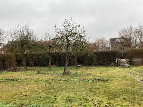 Garten Portitz.JPEG - Erholungsgrundstück in Leipzig-Portitz frei