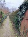 Zuwegung Garten Portitz.JPEG - Grundstück zur Miete in Leipzig