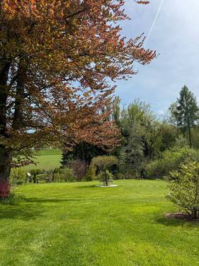 Großer Garten - 1 Zimmer Mehrfamilienhaus, Wohnhaus zum Kaufen in Schömberg