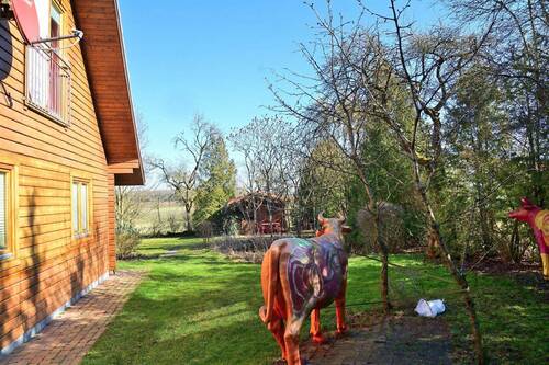 Blick in den Garten - 