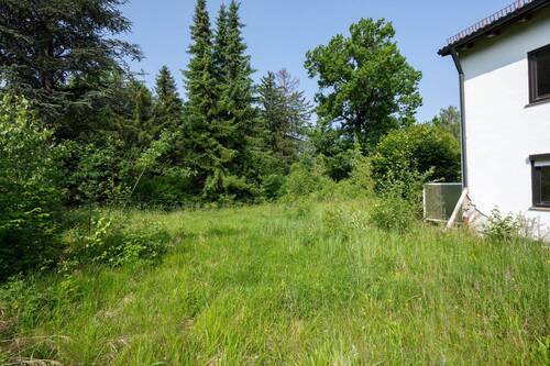 Garten - 