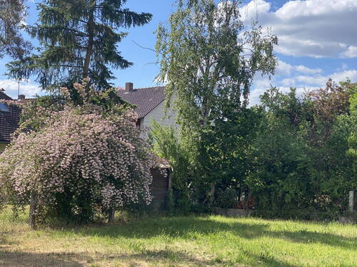 Gartenansicht - Grundstück zum Kaufen in Fürth