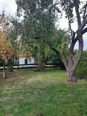 Grün. Frei. Dein. - 