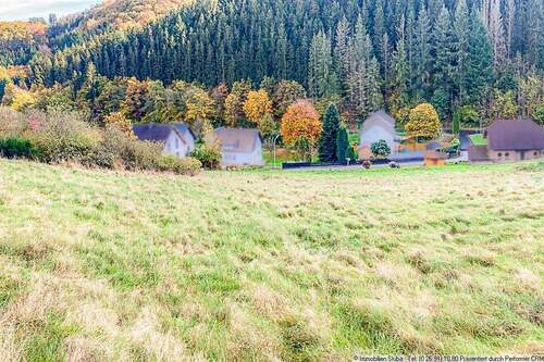 Blick ins Grüne - Grundstück in Dümpelfeld-Lückenbach zum Kaufen