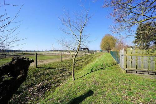 Gartenbereich (5).jpg - 