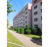 moderne sanierte 3 Raum Wohnung Am Holländer - Döbeln