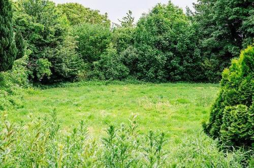 Garten - 