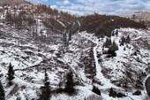 Luftaufnahme - 1 ha Waldfläche im Harz - gerodeter Fichtenbestand