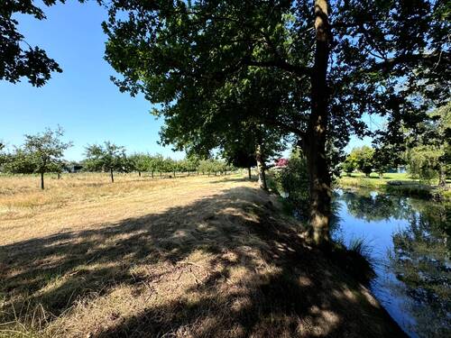 IMG_5361.jpg - Grundstück in Werben (Elbe) zum Kaufen