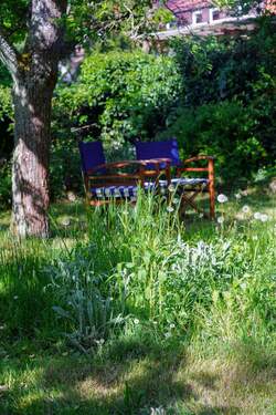 Ruhe im Schatten der Bäume.jpg - 