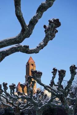 Umgebung Allee und Pauluskirche im Winter.jpg - 7 Zimmer Mehrfamilienhaus, Wohnhaus in Darmstadt