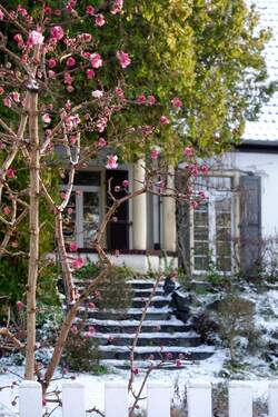 Winterstimmung im Villengarten - 