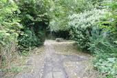 und im hinteren Bereich - 