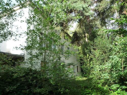 P1170241 - ++ 12.000 m² Grundstück 1.400 m² Gewerbe- Wohnfläche ++