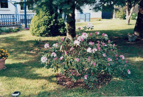 Gartenansicht - 