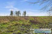 Grundstück hinter der Stallung - 