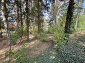 Baugrundstück mit Naturcharakter - 