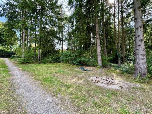 Blick von Einfahrt - 