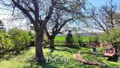Garten mit altem Baumbestand - 