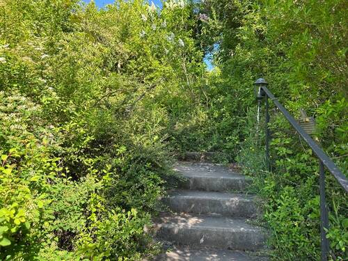 Aufgang zum Haus - 