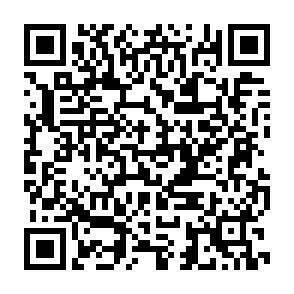 QR-Code - 