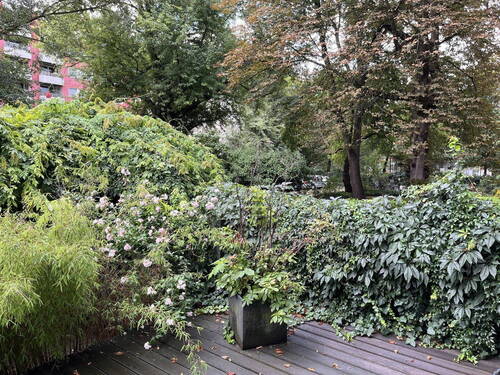 Terrasse - Terrassenwohnung mit 65,00 m² in Berlin zum Kaufen