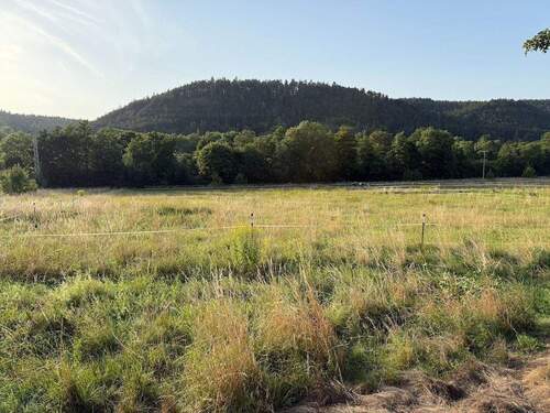 2025-08-14 18.45.28 - Randgrundstück mit Panoramablick