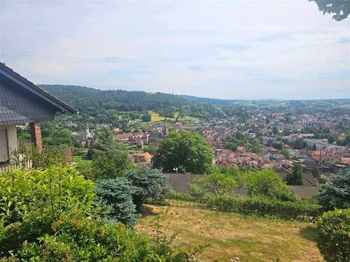Aussicht von der Zufahrtsstraße - Traumhaftes Panorama-Grundstück in Bestlage von Büdingen