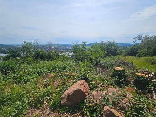 Grundstück-Aussicht - Grundstück zum Kaufen in Bündigen