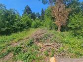 Grundstück -direkte Waldrandlage - Grundstück in Bündigen zum Kaufen