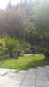 Garten 2.jpg - 