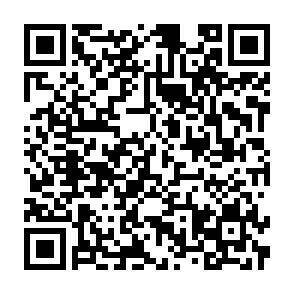 QR-Code - 