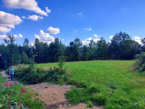 Idyllische Landschaft - Grundstück in Bodenmais