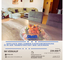 Gepflegte Drei-Zimmer-Wohnung in Bad Säckingen - ruhig und doch zentral