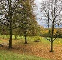 sanierte 1 Raum Wohnung mit Dusche im Erdgeschoss - Döbeln