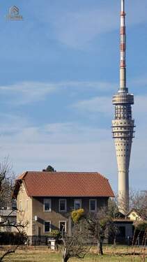20260226_104002 Kopie.jpg - 5 Zimmer Einfamilienhaus in Dresden
